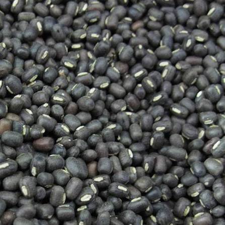 Black Gram grain products