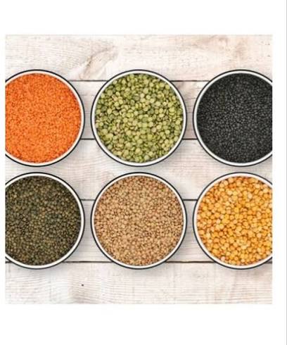 Lentils grain products