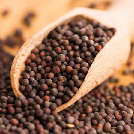 Mustard Seeds spice products