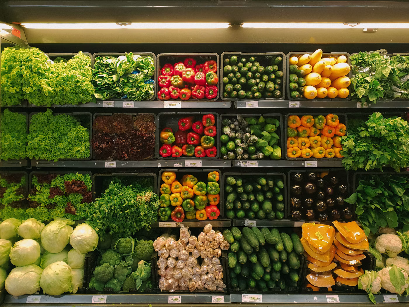 Food Products sourced by Al Huda